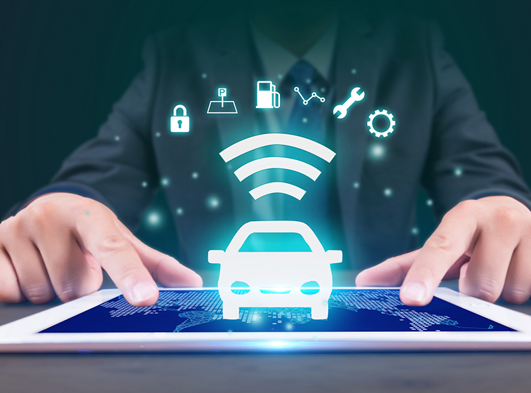 为什么会突然上不去网了？